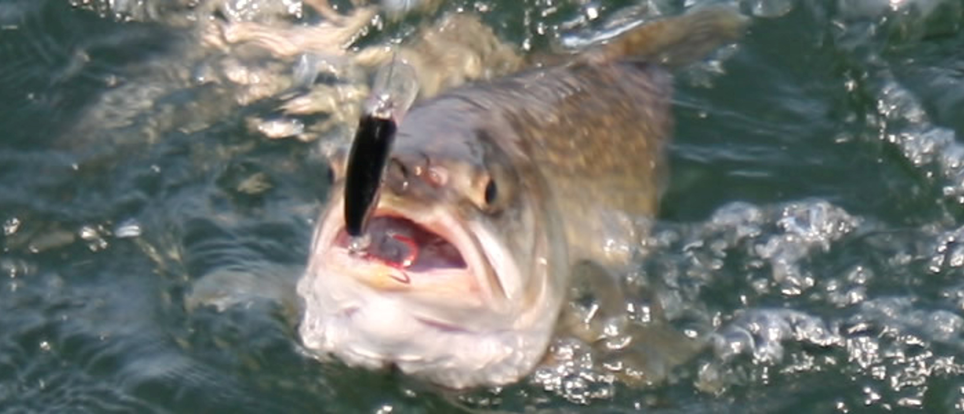 Home Walker's Guide Service Green Lake, WI